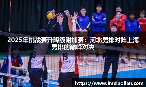 2025年挑战赛升降级附加赛：河北男排对阵上海男排的巅峰对决